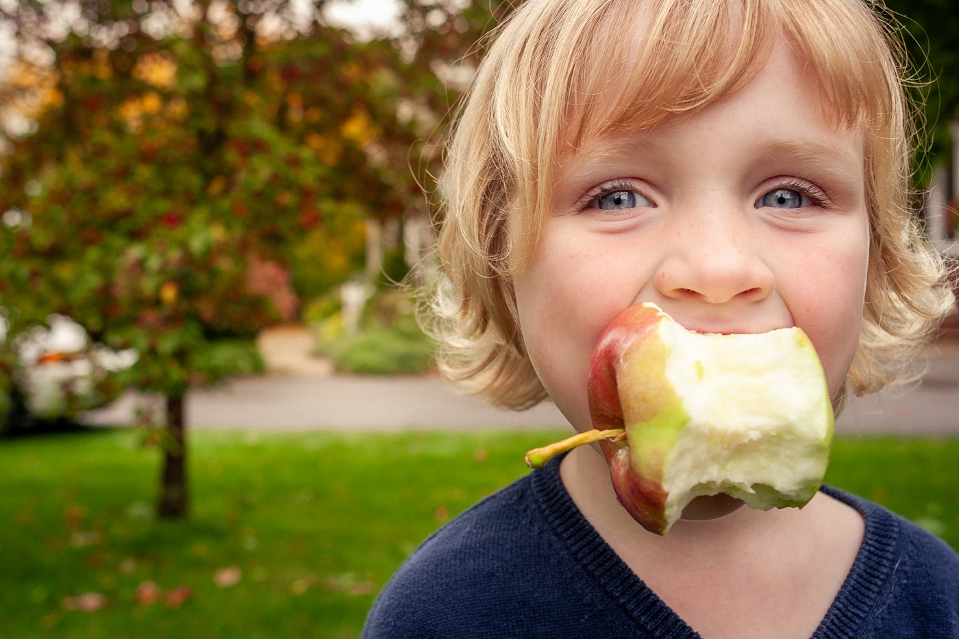 Young child biting into an apple outdoors in autumn