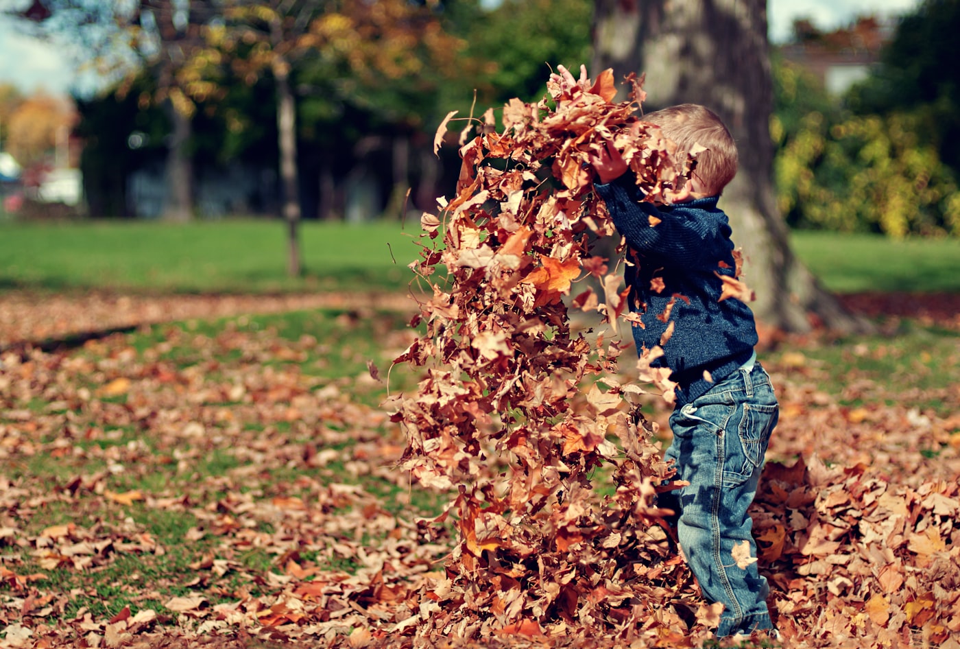 Toddler playing with autumn leaves outdoors